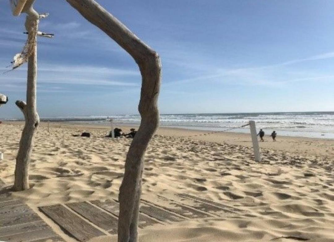 Vacances Dans Les Landes Aureilhan  Eksteriør billede
